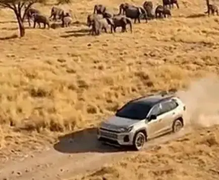 2026车圈大洗牌！BBA跳水降价，15万级神车竟成最大赢家